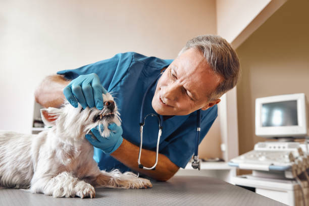 Best Same-Day Emergency Dental Services in Park Hills, KY